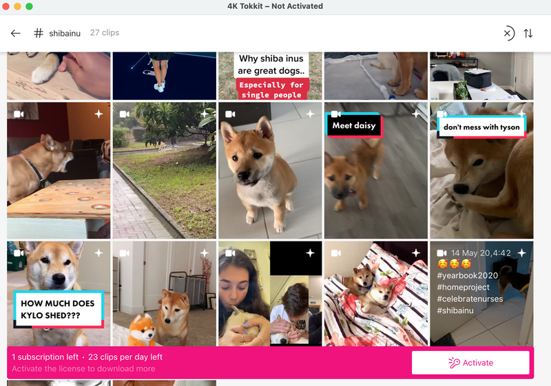 Meet New TikTok Video Downloader - 4K Tokkit | 4K Download