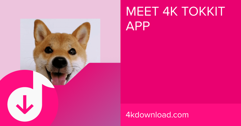 Meet New TikTok Video Downloader - 4K Tokkit